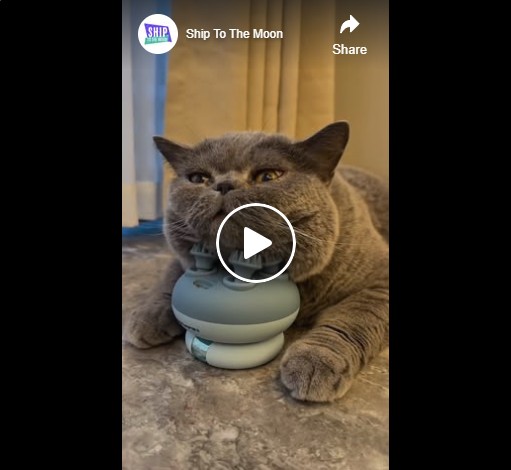 Electric Cat Head Massager