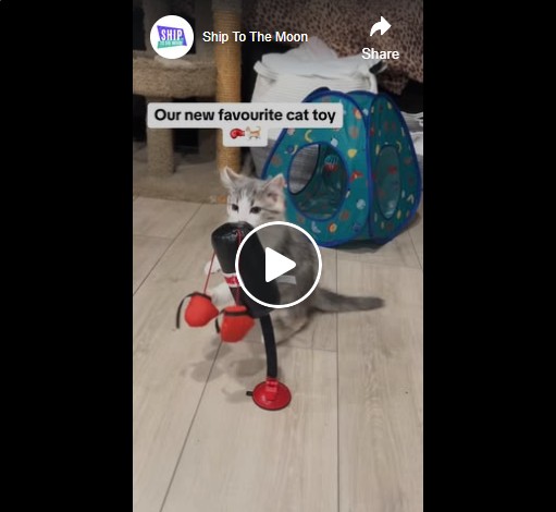 Interactive Cat Toys Punching Bag