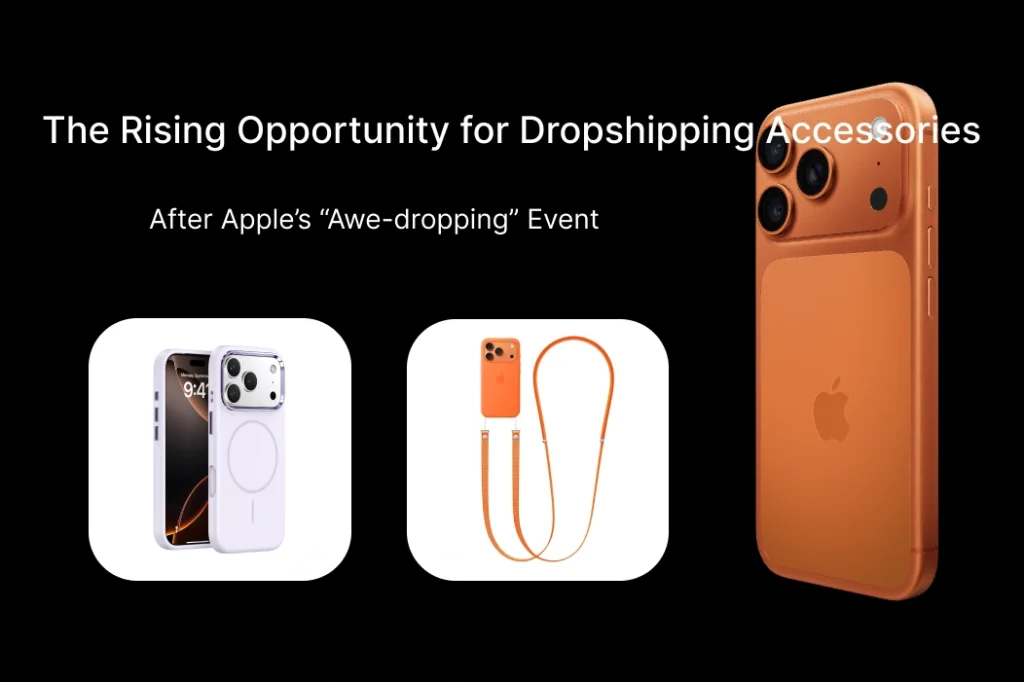 The Rising Opportunity for Dropshipping Accessories