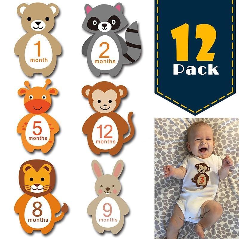 12-Piece Baby Monthly Milestone Stickers Dropshipping Globally