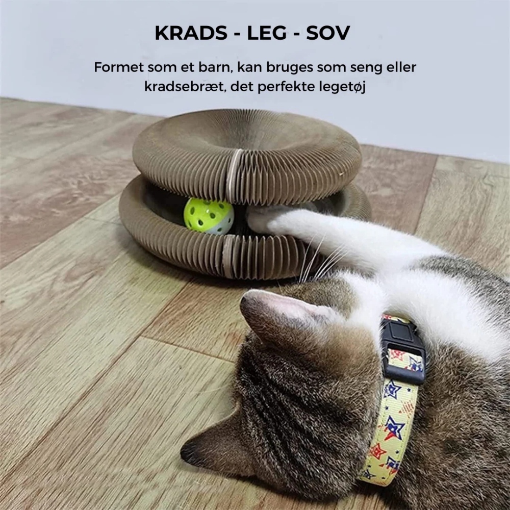 Interactive Cat Toy & Scratcher