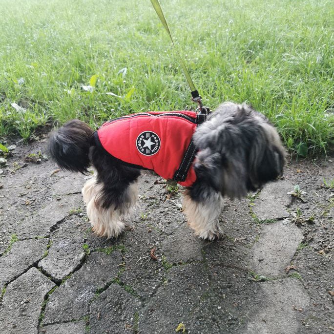 Winter Dog Jacket with Harness Dropshipping with ShipToTheMoon