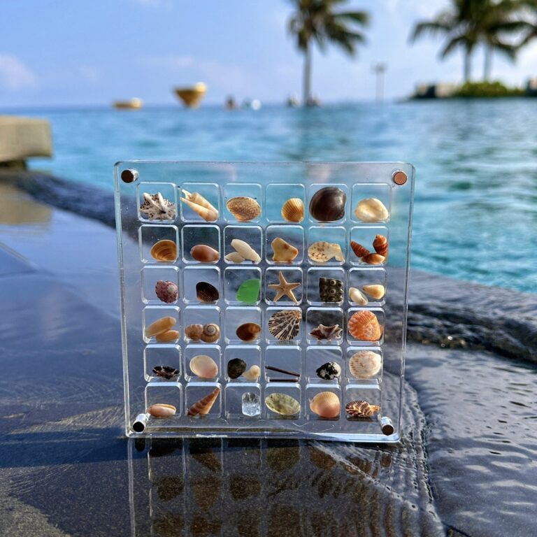 Acrylic Shell Collection Box