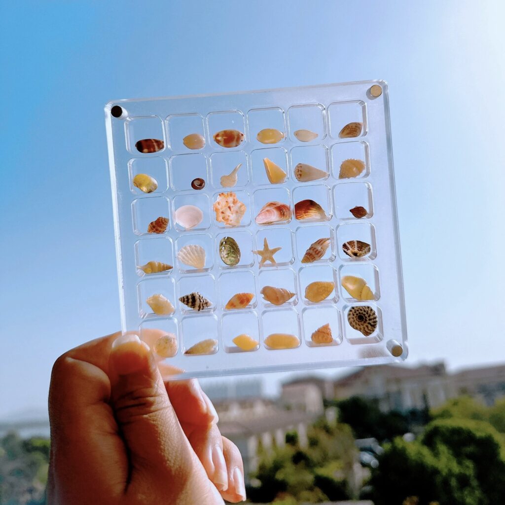 Acrylic Shell Collection Box