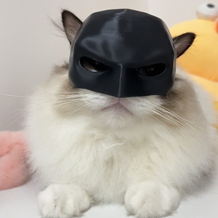 Bat Cat Avengers Cat Mask