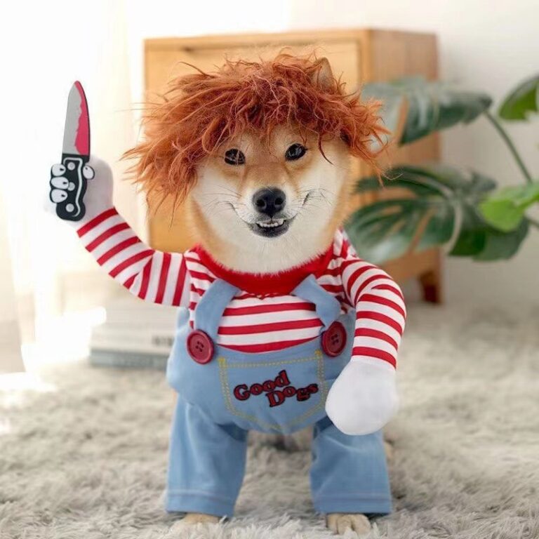 Funny Halloween Dog with Knife Costume