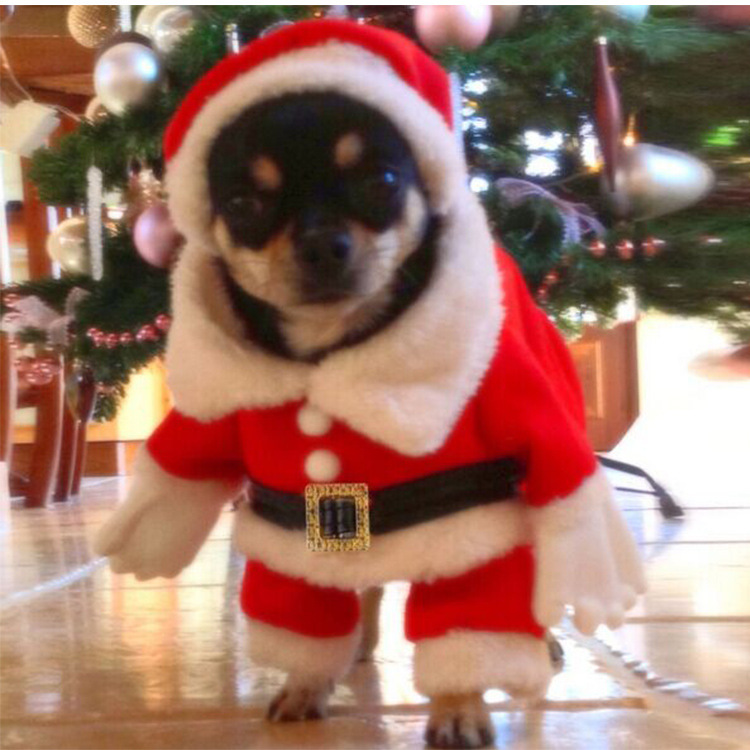 Standing Santa Pet Christmas Costumes Dog Set