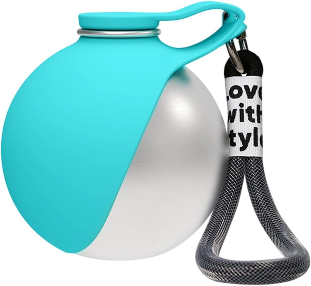 Foldable Silicone Dog Bowl with 304 Stainless Steel Travel Water Bottle (285ml)
