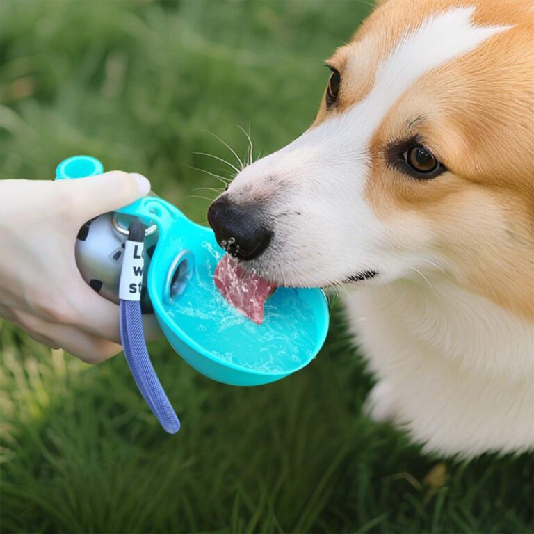 Foldable Silicone Dog Bowl with 304 Stainless Steel Travel Water Bottle (285ml)