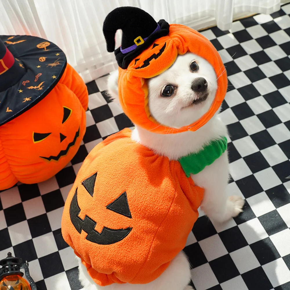 Halloween Pumpkin Pet Costume