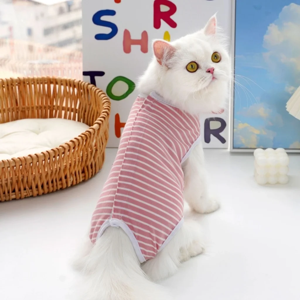 Pet Post-Surgery Recovery Suit