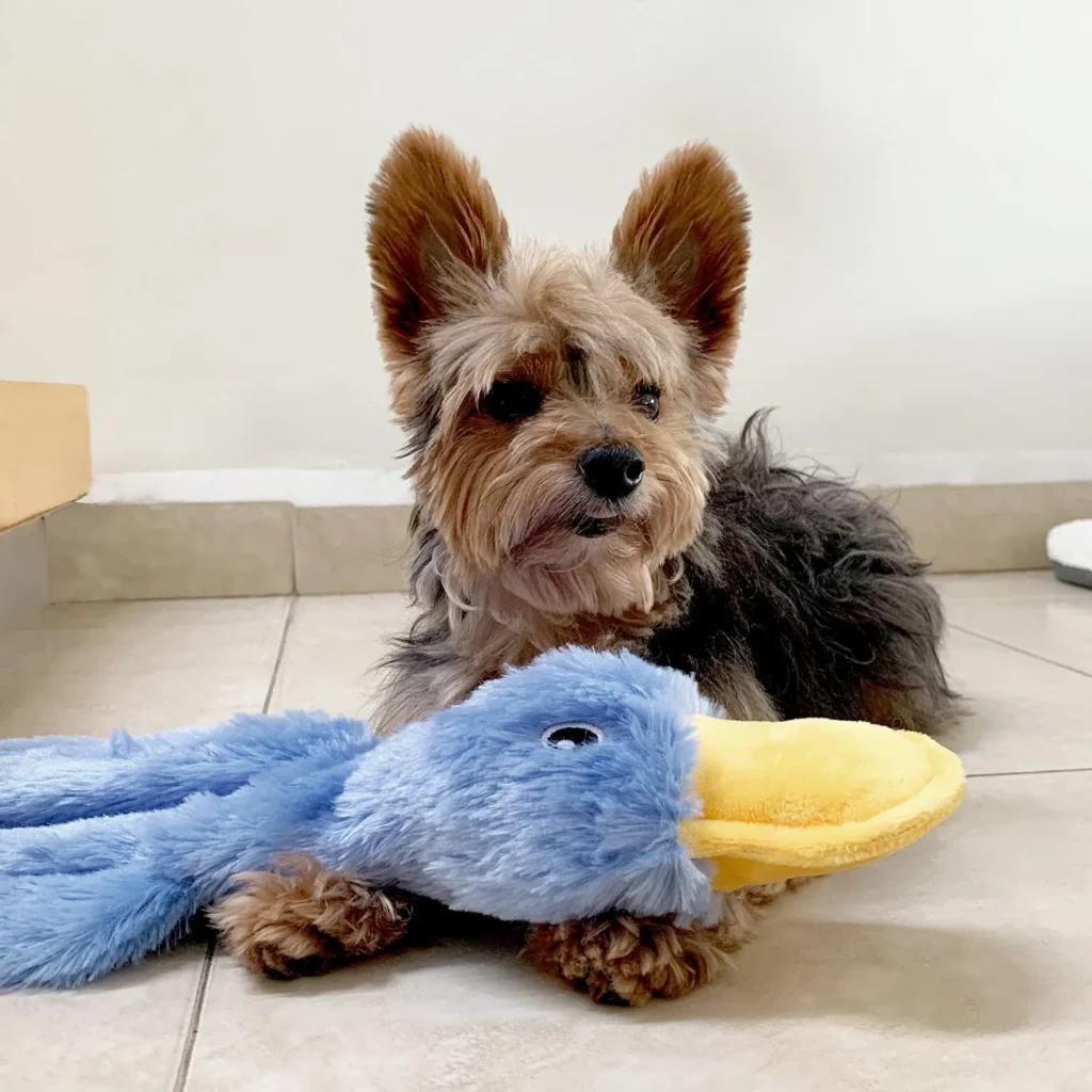 Unstuffed Duck Dog Chew Toy